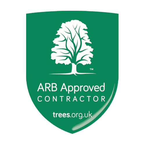 Arboricultural Association approved contractor logo in recognition of Ryland's quality arboricultural services