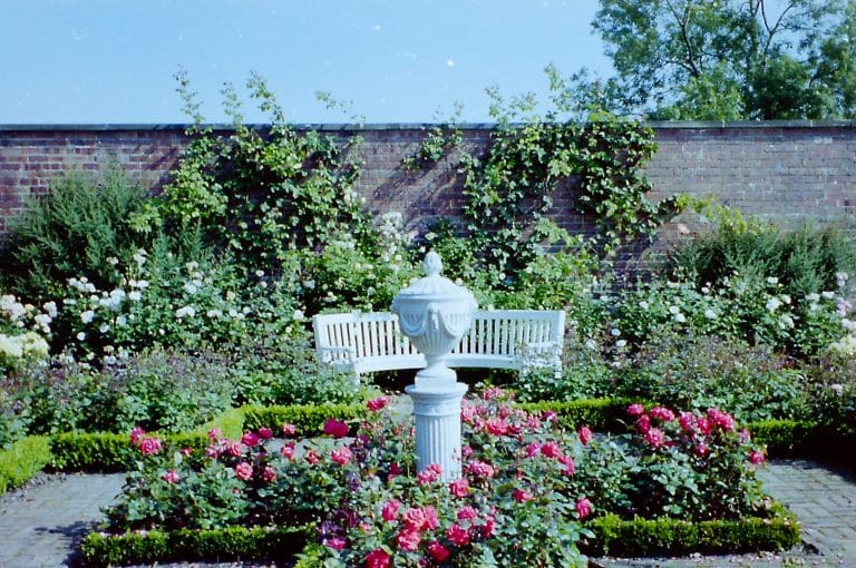 Landscape planting by Ryland Horticulture Ltd. Trees, shrubs, Herbaceous, Grasses, Bulbs & Aquatics. York landscapers.
