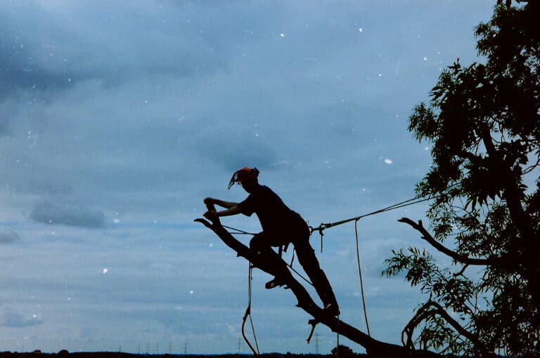 Arboricultural Association Contractors Approval Checklist