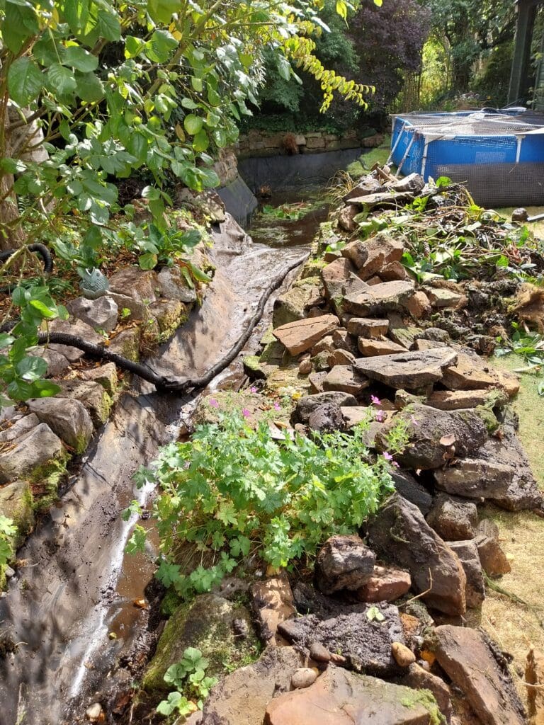 Pond clearing and renovation.. 16 years of fish poo!!!