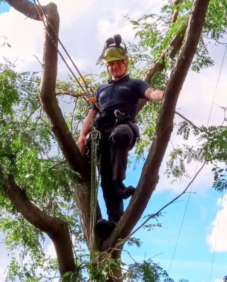 Meet our new smiling, fresh from Askham Bryan College level 3 Dip. Arb, young fellow….